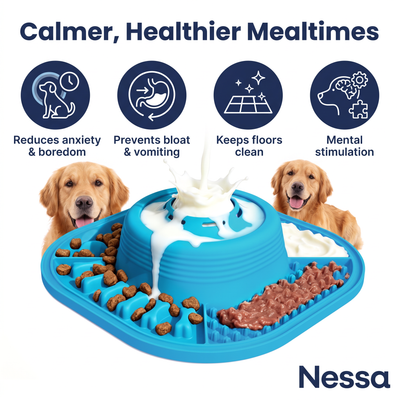 3-in-1 Slow Feeder Bowl