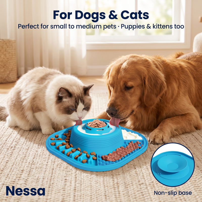 Slower Meals, Happier Pets