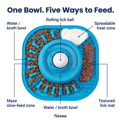 3-in-1 Slow Feeder Bowl